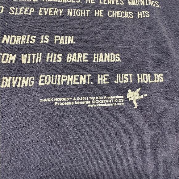 Vintage 2011 Delta Pro Weight Chuck Norris Top Kick Productions Tee - Picture 5 of 5